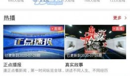 雷州电视台爆料新闻直播,重大新闻事件现场直击