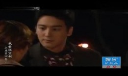 爱上张宝利在线观看