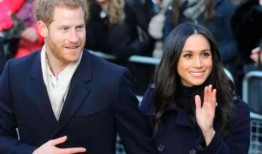 最新爆料185号梅根,185号事件背后惊人真相揭露